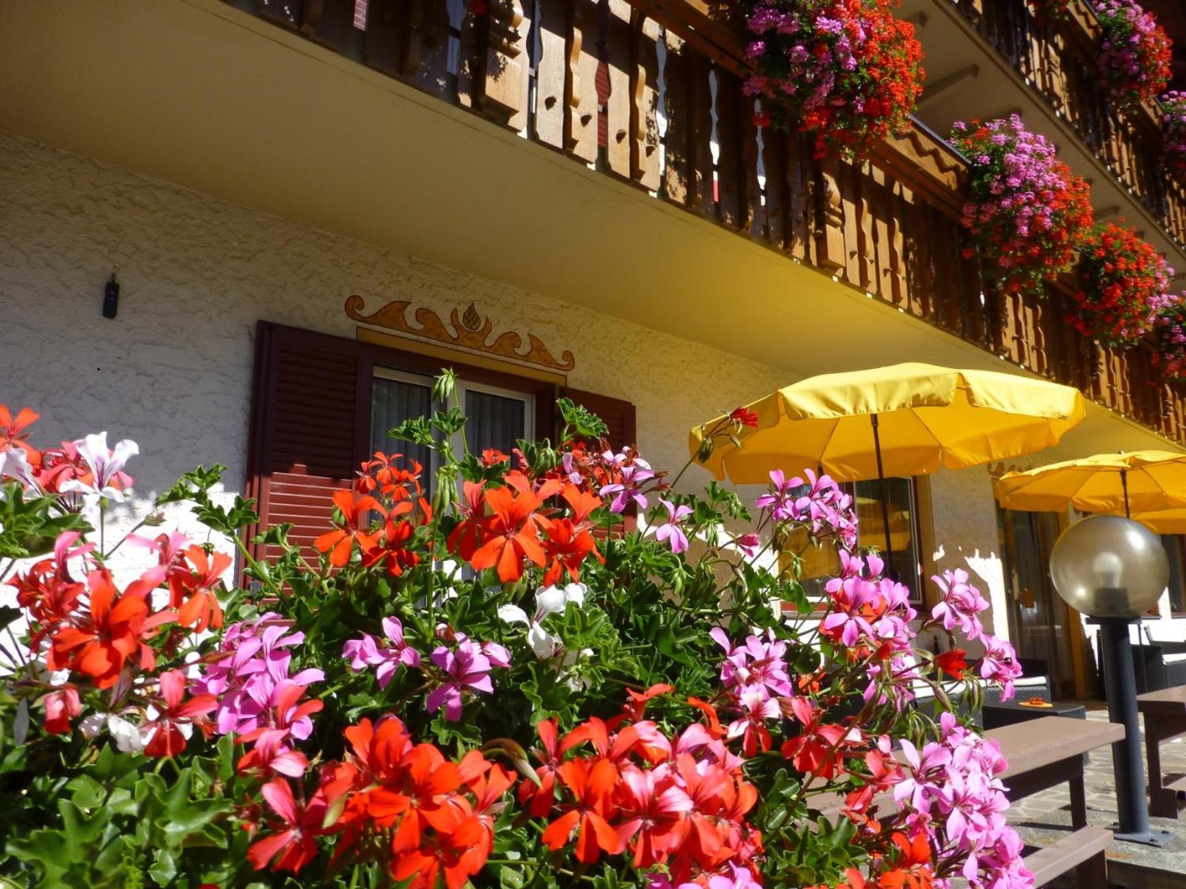 Garni Helfer Bed & Breakfast Dobbiaco Exterior photo