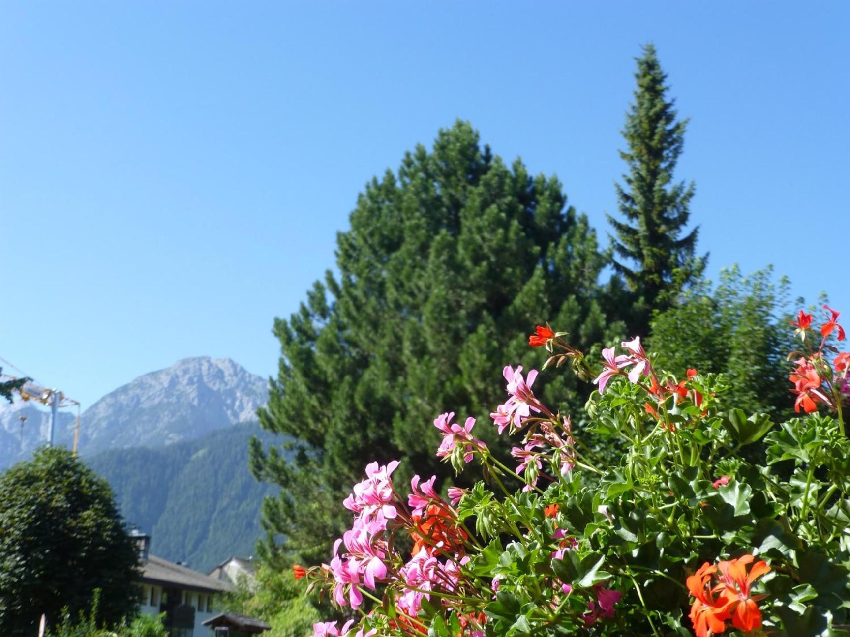 Garni Helfer Bed & Breakfast Dobbiaco Exterior photo
